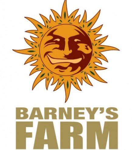 Orange Cream (Barney's Farm)