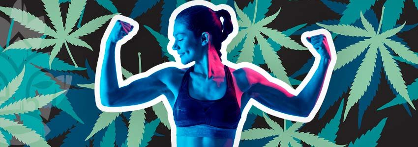 Training Und Cannabis