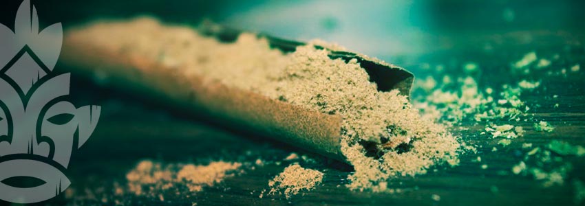 Das Optimum Aus Kief Herausholen