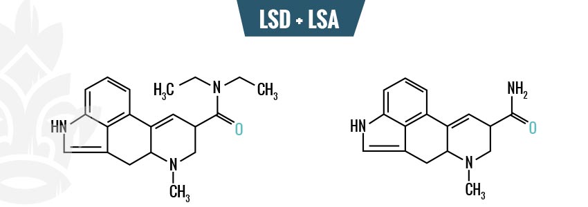 Chemische Bestandteile Der Hawaiianischen-holzrosen-samen