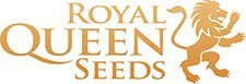 Royal Queen Seeds