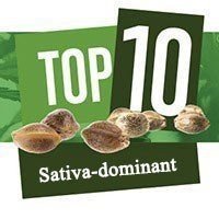 Top 10 Sativa-dominant