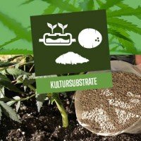 Kultursubstrate für Cannabispflanzen