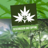 Beschneiden und Topping