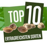 Top 10 Der Ertragreichsten Sorten