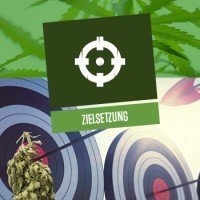 Zielsetzung