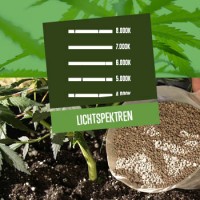 Lichtspektren und ihre Wirkung auf das Pflanzenwachstum
