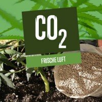 Frische Luft (und CO2) für Cannabis