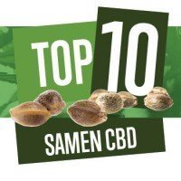 Top 10 CBD Sorten