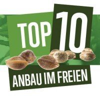 Top 10 Outdoor