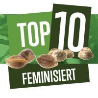 Top 10 Feminisiert