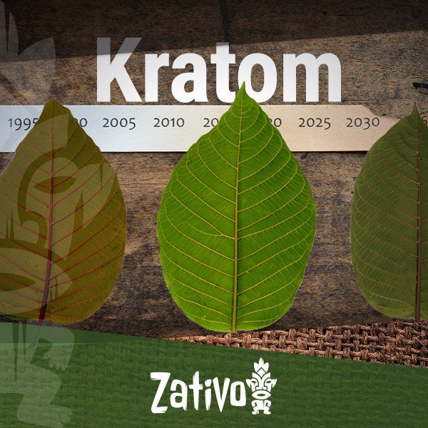Die Geschichte Von Kratom - Zativo