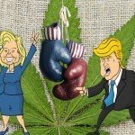 US-Präsidentschaftswahlen : 7 Kandidaten Und Ihre Ansichten Zu Cannabis