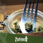 Kochen mit Cannabis: Hanfbällchen