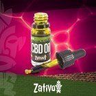 Kann Die Nutzung Von CBD Öl Zu Einem Positiven Drogentest Führen?