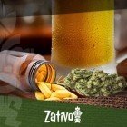 Marihuana Mit Alkohol Oder Arzneimitteln: Was Du Wissen Solltest 