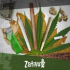 Die Unterschiede Zwischen Joints, Blunts Und Spliffs