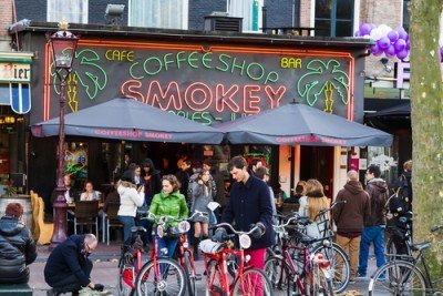 Coffee Shops In Den Niederlanden Verkaufen Jährlich Weed Im Wert Von 1 Mrd. Euro