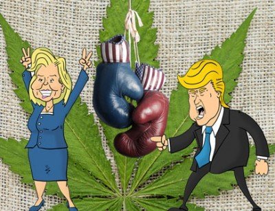 US-Präsidentschaftswahlen : 7 Kandidaten Und Ihre Ansichten Zu Cannabis