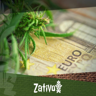 Wie man mit einem schmalen Geldbeutel Cannabis anbaut